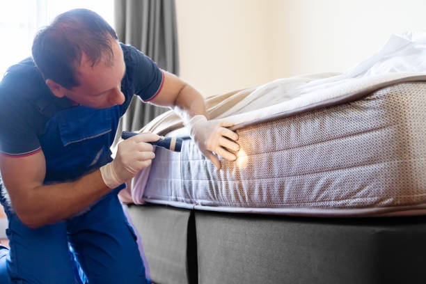 Best Bed Bug Extermination  in Bangor, PA